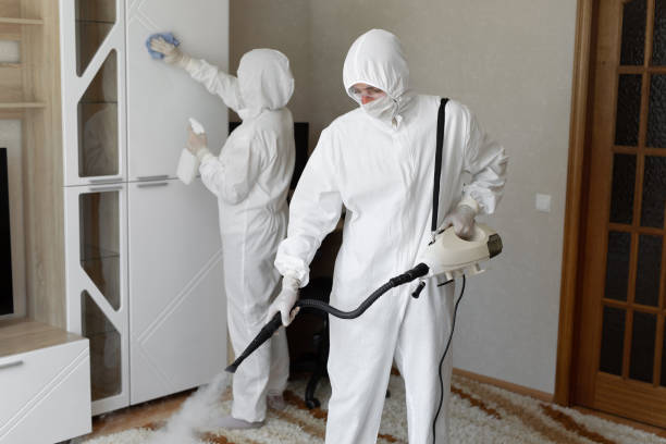 Mold Removal and Inspection in Chapel Hill, TN